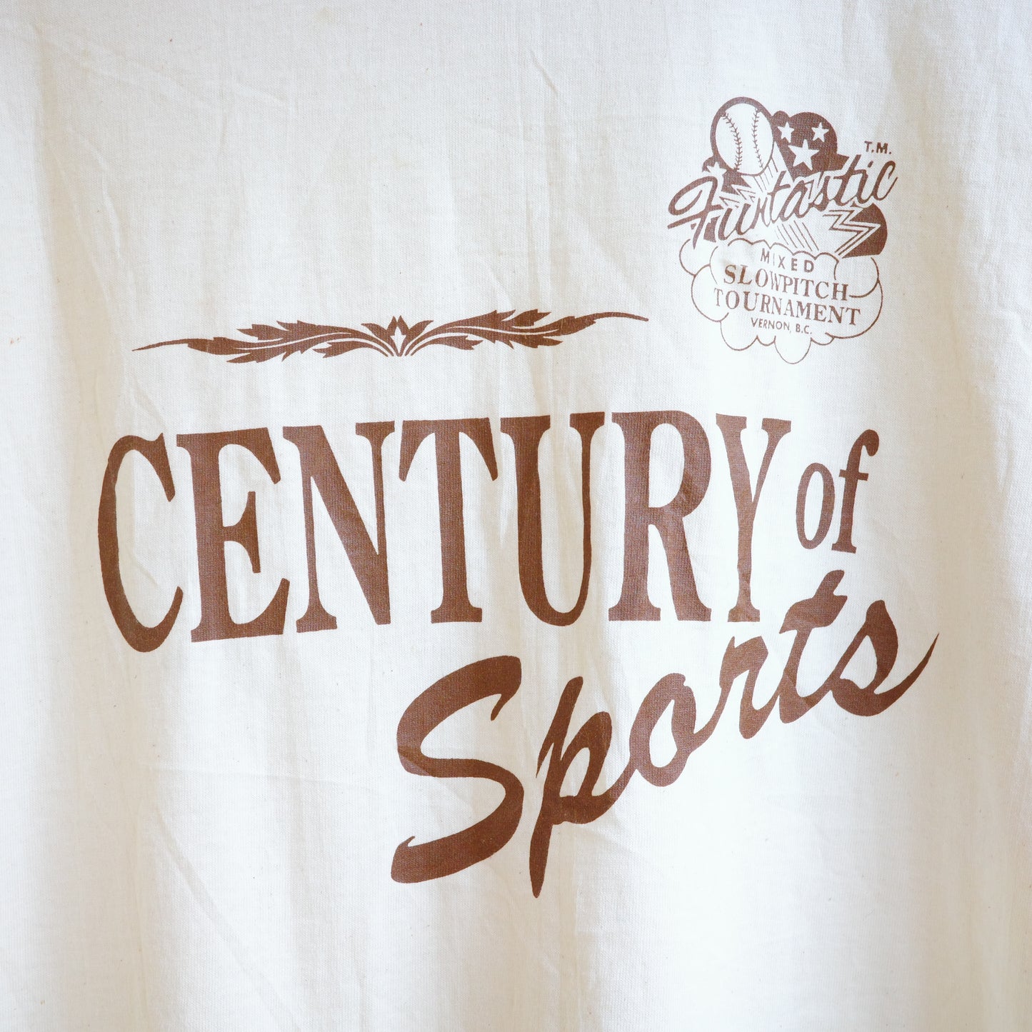 【used】CENTURY of Sports tee 野球 baseball ONEITA
