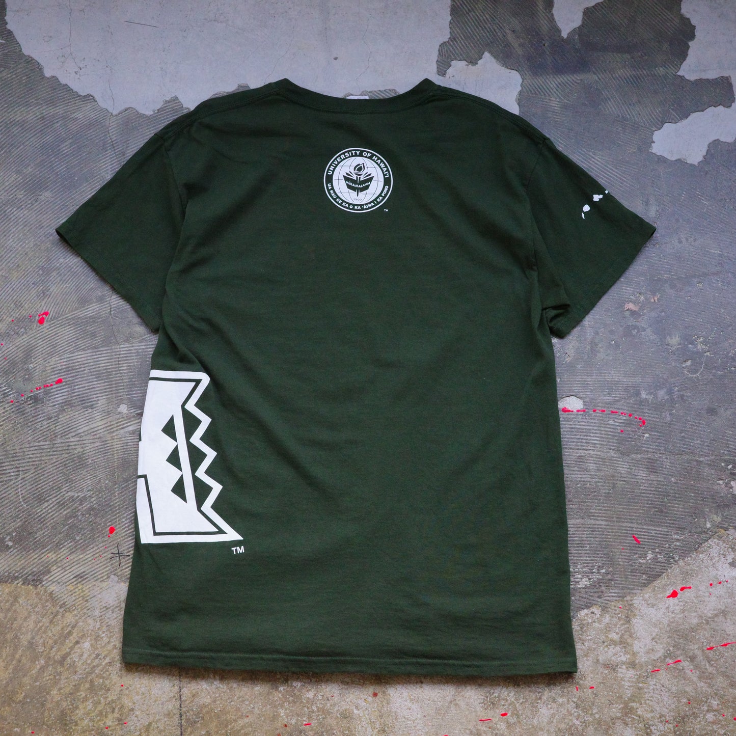 【used】UNIVERSITY OF HAWAII "MANOA" tee GILDAN ギルダン 野球 baseball