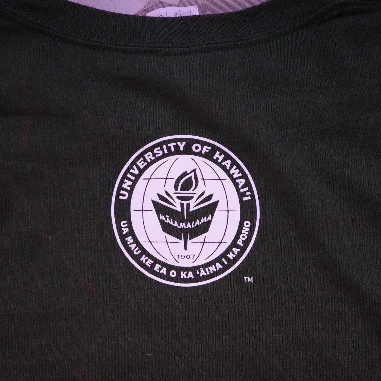 【used】UNIVERSITY OF HAWAII "MANOA" tee GILDAN ギルダン 野球 baseball